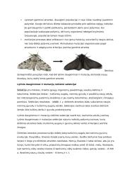 Genų ir chromosomų mutacijos konspektas 6 puslapis