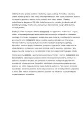 Genų ir chromosomų mutacijos konspektas 7 puslapis