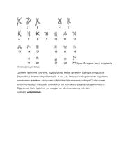 Biologinės rūšies genomas konspektas 3 puslapis