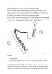 Biologinės rūšies genomas konspektas 5 puslapis