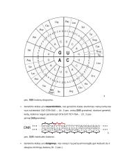 Biologinės rūšies genomas konspektas 10 puslapis