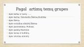 VBE – ar AŠ pasiruošęs? Lietuvių kalbos pristatymas 13 puslapis