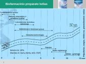 Biofarmacija arba Raudonoji biotechnologija išsamus pristatymas 17 puslapis