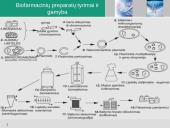 Biofarmacija arba Raudonoji biotechnologija išsamus pristatymas 18 puslapis