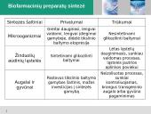 Biofarmacija arba Raudonoji biotechnologija išsamus pristatymas 19 puslapis