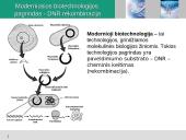 Biofarmacija arba Raudonoji biotechnologija išsamus pristatymas 8 puslapis