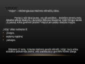 Vytautas Mačernis pristatymo skaidrės 12 puslapis