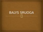 Balys Sruoga pristatymas