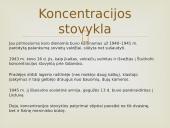 Balys Sruoga pristatymas 7 puslapis