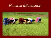 Azija pristatymas 17 puslapis