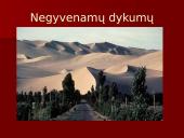 Azija pristatymas 5 puslapis