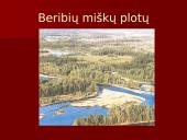 Azija pristatymas 6 puslapis