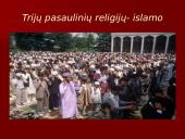 Azija pristatymas 9 puslapis