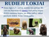 Europa skaidrės 11 puslapis