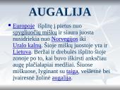 Europa skaidrės 6 puslapis