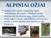 Europa skaidrės 8 puslapis