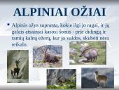 Europa skaidrės 9 puslapis