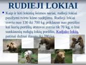 Europa skaidrės 10 puslapis