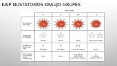 Kraujo grupės skaidrės 8 puslapis