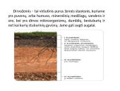 Dirvožemis – tai viršutinis purus žemės sluoksnis 2 puslapis