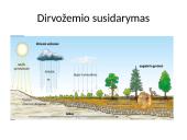 Dirvožemis – tai viršutinis purus žemės sluoksnis 4 puslapis