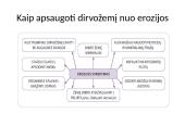 Dirvožemis – tai viršutinis purus žemės sluoksnis 9 puslapis