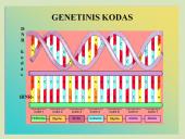 DNR, baltymai ir organizmo požymiai 9 puslapis
