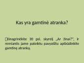 Kas yra gamtinė atranka? 2 puslapis