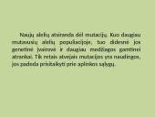 Kas yra gamtinė atranka? 6 puslapis