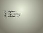 Kintamumas genetikoje 2 puslapis
