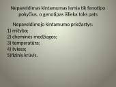 Kintamumas genetikoje 11 puslapis