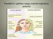 Kintamumas genetikoje 12 puslapis