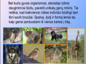Kintamumas genetikoje 4 puslapis