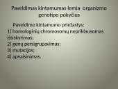 Kintamumas genetikoje 7 puslapis