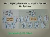 Kintamumas genetikoje 8 puslapis