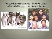 Kintamumas genetikoje 9 puslapis