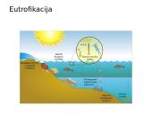 Vandens tarša ir eutrofikacija 2 puslapis
