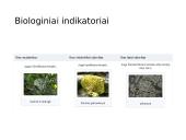 Vandens tarša ir eutrofikacija 11 puslapis