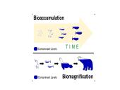 Vandens tarša ir eutrofikacija 6 puslapis
