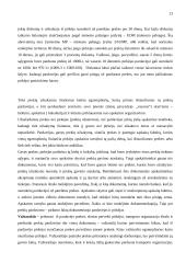 Įmonių apskaitos dokumentai 13 puslapis