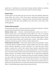 Įmonių apskaitos dokumentai 15 puslapis