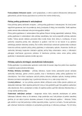 Įmonių apskaitos dokumentai 16 puslapis