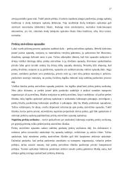 Įmonių apskaitos dokumentai 17 puslapis