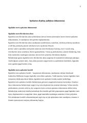 Įmonių apskaitos dokumentai 6 puslapis