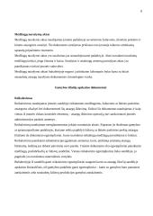 Įmonių apskaitos dokumentai 8 puslapis