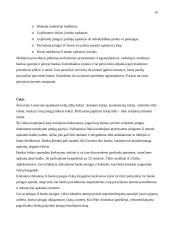 Įmonių apskaitos dokumentai 10 puslapis