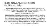 Drėgnasis atogrąžų miškas 4 puslapis