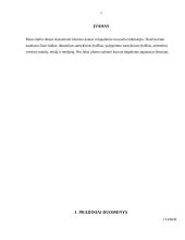 Degalų kainų kitimas 2006 spalio ir lapkričio mėnesiais 3 puslapis