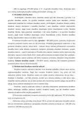 Draudimo sutarčių sudarymo principai 4 puslapis