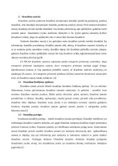 Draudimo sutarčių sudarymo principai 5 puslapis